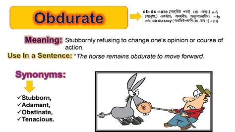 OBDURATE English meaning - Cambridg…