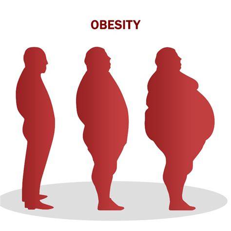Obesity and overweight - World Health Organization (WHO) - raincitystudios.com