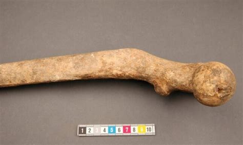 Objects: the archaeology of medieval healing - CentAUR - wintechmobiles.com