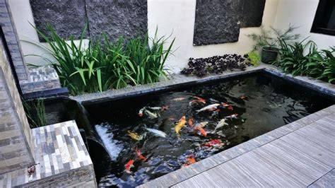 Observasi Kolam Ikan Halaman 1 - raincitystudios.com