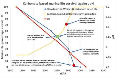 Ocean Acidification: A Growing Threat to Marine Life - raincitystudios.com
