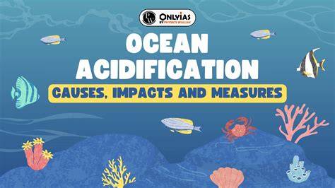 Ocean Acidification: Investigation and Presentation of the Effects of ... - raincitystudios.com