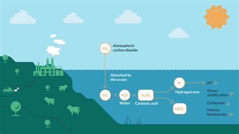 Ocean acidification | Behavioural Responses to a Changing World ... - raincitystudios.com