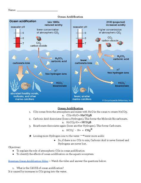 Ocean Acidification 101 - U.S. National Park Service - raincitystudios.com