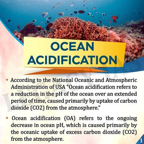 Ocean acidification facts and information | National … - raincitystudios.com