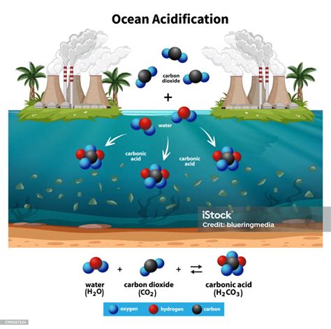 Ocean Acidification - Woods Hole Oceanographic Institution - raincitystudios.com