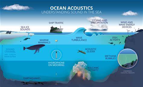 Ocean Acoustics - Marine Acoustic consultancy | Scientific Services - raincitystudios.com