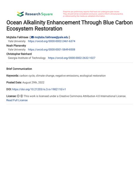 Ocean alkalinity enhancement through restoration of blue carbon ecosystems - raincitystudios.com