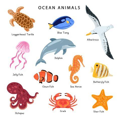 Ocean Animals for Kids | Learn all about the Animals and ... - raincitystudios.com