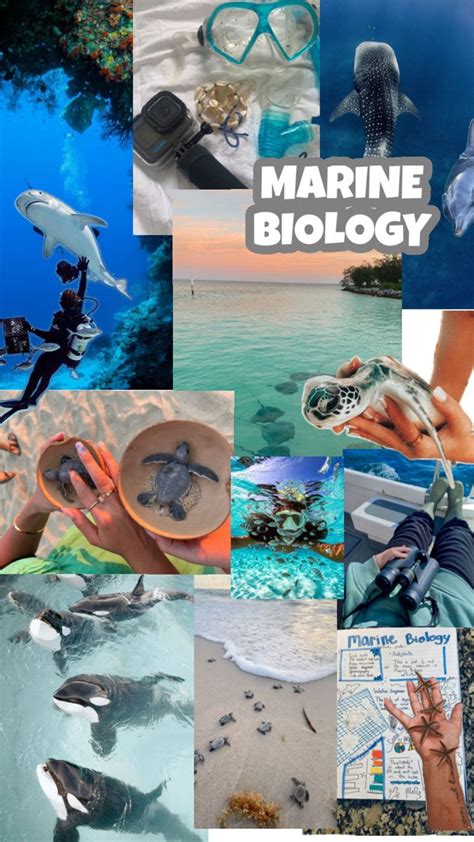 Ocean biology: Marine dreams - Nature - raincitystudios.com