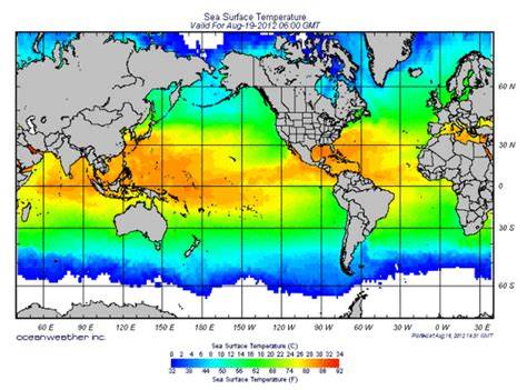 Ocean Biome: Location, Temperature, Precipitation, … - raincitystudios.com