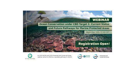 Ocean Conservation under CBD Target 3: Current Status and Future ... - raincitystudios.com