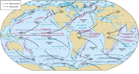 Ocean currents: Forces Responsible For Ocean … - raincitystudios.com