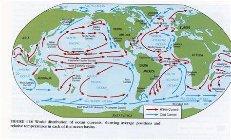 Ocean Currents Map: Global Ocean Circulation Explained - raincitystudios.com