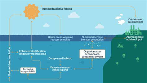 Ocean deoxygenation - raincitystudios.com