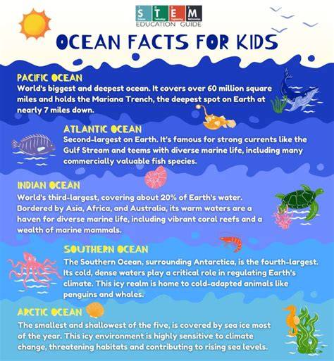 Ocean Facts for Kids - raincitystudios.com