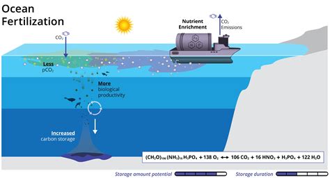 Ocean fertilization - raincitystudios.com