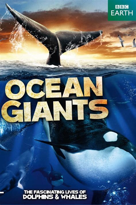 Ocean Giants | EarthDate - muktibox.com