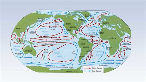 Ocean Gyre - Education - wintechmobiles.com