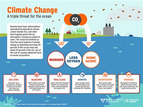 Ocean Impacts of Climate Change - Education - raincitystudios.com