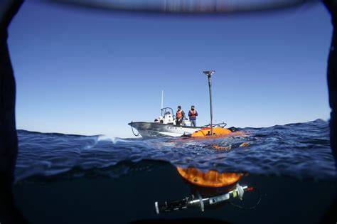 Ocean life boosts innovation - Stockholm Resilience - raincitystudios.com