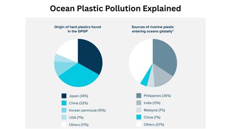 Ocean plastic pollution explained - The Ocean … - raincitystudios.com