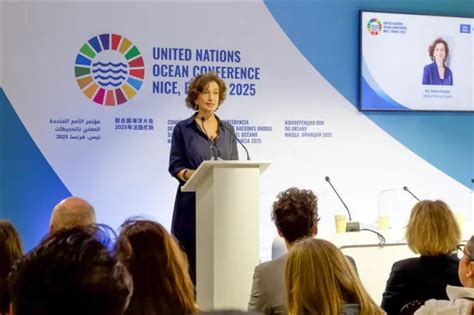 Ocean protection: UNESCO expands its educational programmes - raincitystudios.com