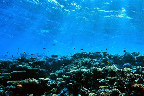 Ocean Science & Technology | The Hub for Marine … - raincitystudios.com