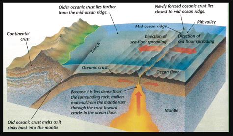 ocean trenches and ridges - Visual Dictionary Online - raincitystudios.com