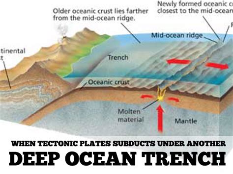 Ocean Trenches Separate Tectonic Plates - Kids Fun … - wintechmobiles.com