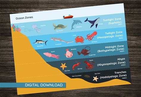 Ocean Zones - WorldAtlas - raincitystudios.com