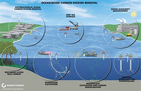 OCEAN-BASED CARBON DIOXIDE REMOVAL PRACTICES - raincitystudios.com