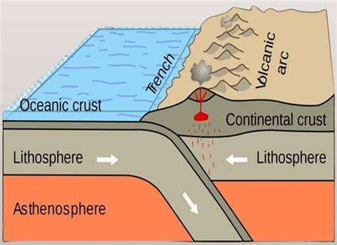 OCEANIC | English meaning - Cambridge Dictionary - raincitystudios.com