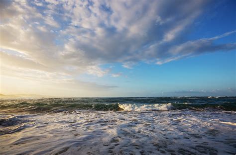 Oceanic climate | Earth and Atmospheric Sciences - EBSCO - raincitystudios.com