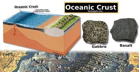 Oceanic Crust Essentials - raincitystudios.com