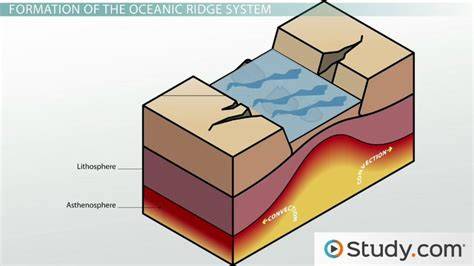 Oceanic Ridge System: Formation & Distribution - raincitystudios.com
