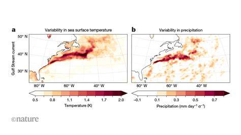 Oceanic western boundary currents modulate local … - raincitystudios.com