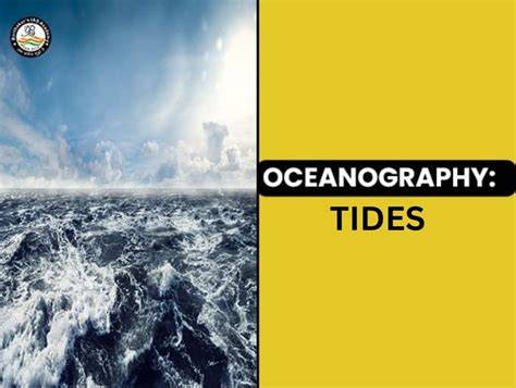 Oceanography: Tides, Ecosystems | StudySmarter - raincitystudios.com