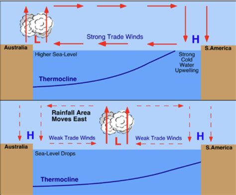 oceanography study guide Flashcards | Quizlet - raincitystudios.com