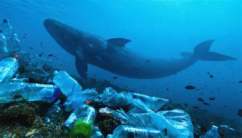 Oceans: Marine pollution | UNEP - UN Environment … - raincitystudios.com