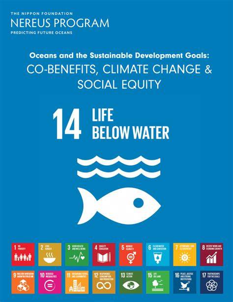 Oceans and the Sustainable Development Goals: CO-BENEFITS, CLIMATE ... - raincitystudios.com