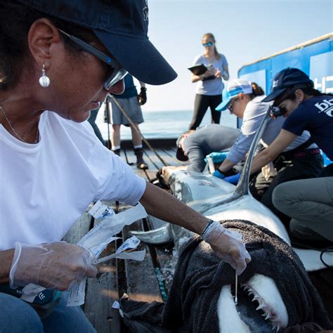 OCEARCH – Ocean Plastics - raincitystudios.com