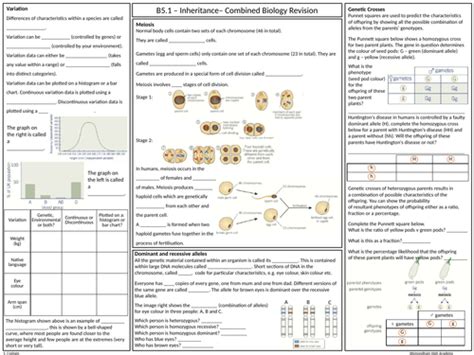 OCR Gateway GCSE Biology Topic Questions 2024 Save My Exams