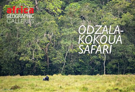 Odzala-Kokoua | Biodiversity and Conservation Initiatives - raincitystudios.com
