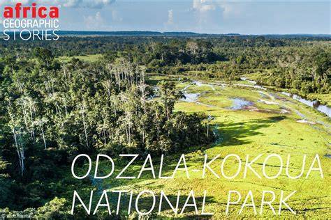 Odzala-Kokoua National Park - Visit Odzala - raincitystudios.com