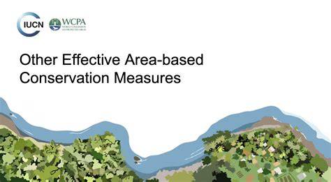 OECMs: A New Path for Freshwater Conservation - raincitystudios.com