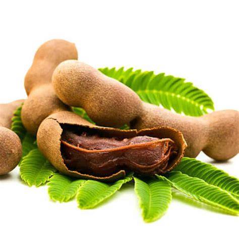 Of tamarind and tolerance - ncf - raincitystudios.com