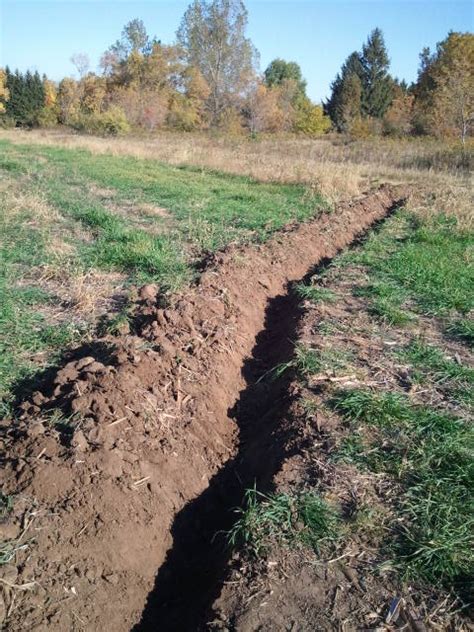Off-contour swales (earthworks forum at permies) - raincitystudios.com