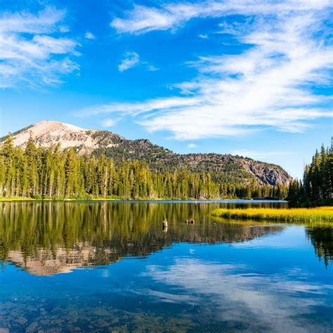 Official Tourism Website for Mammoth Lakes, California - wintechmobiles.com
