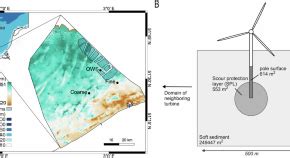 Offshore wind farms modify coastal food web dynamics by enhancing ... - muktibox.com